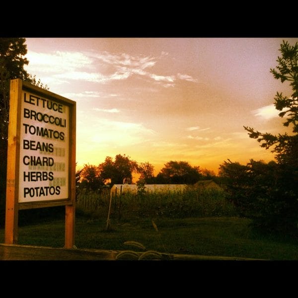 Egg Harbor Natural Gardens at sunrise