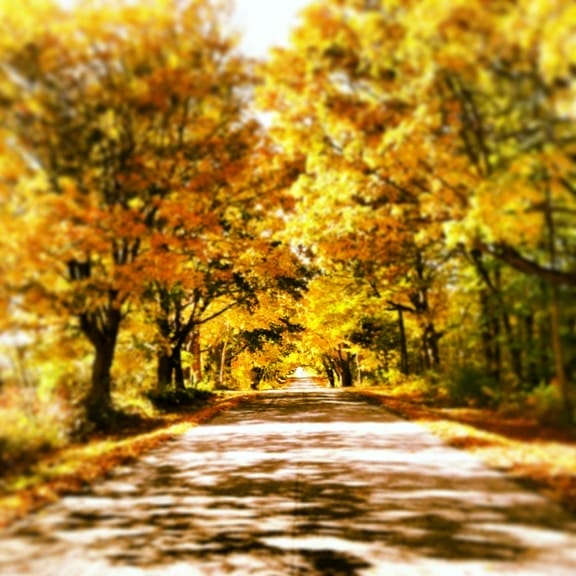 Sister Bay Bike Ride