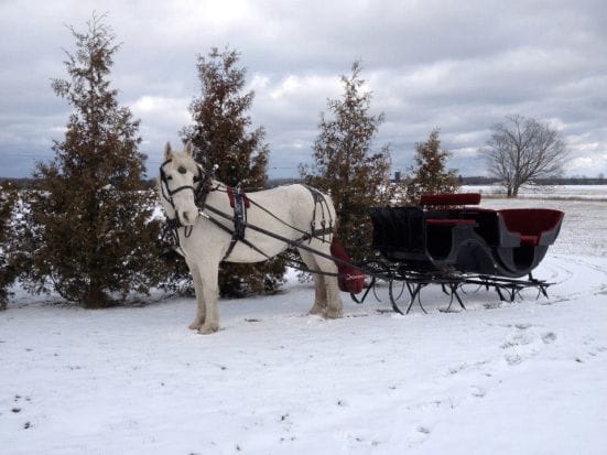 Mayberry Carriage - Door County winter scene